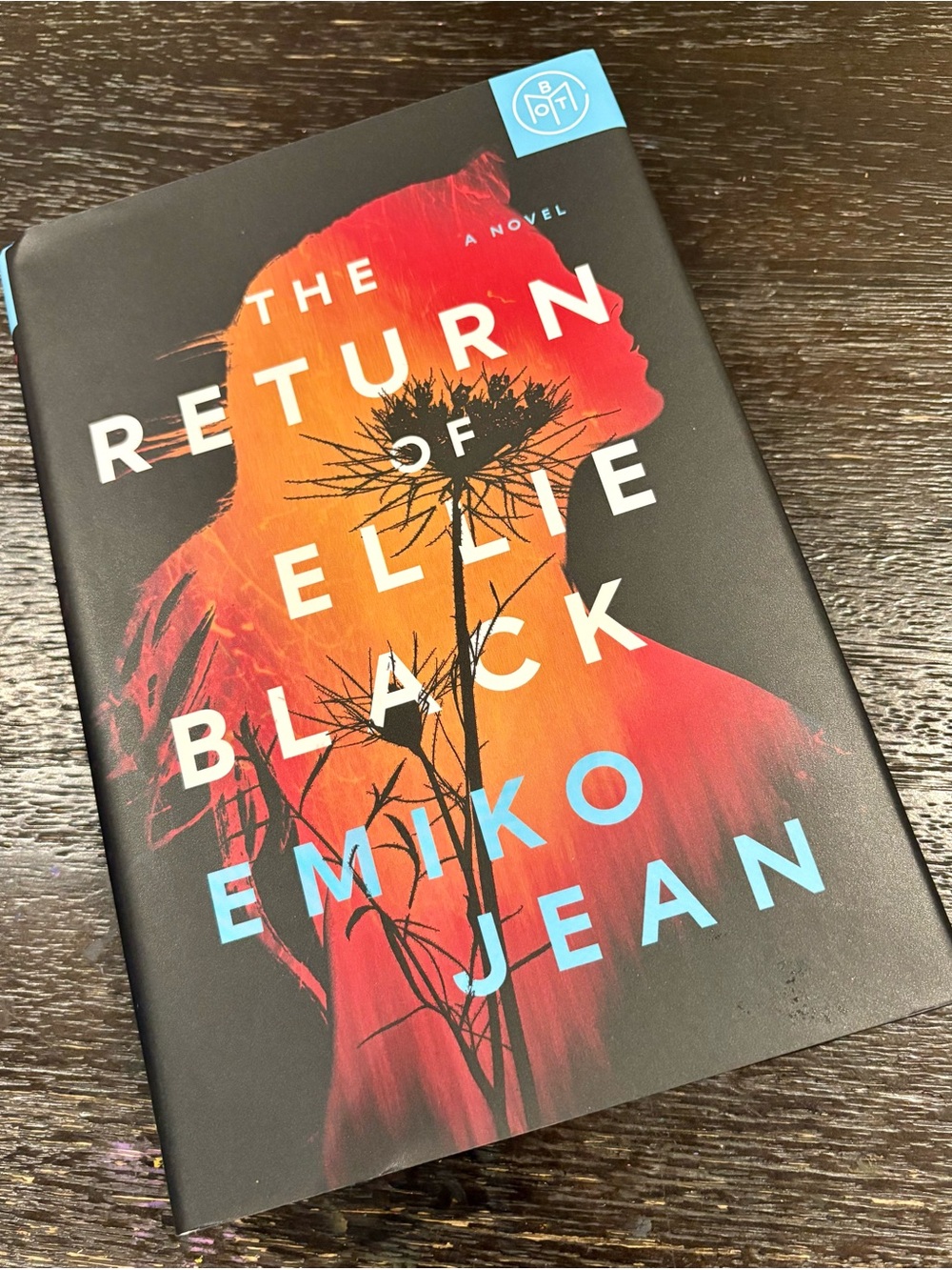 The Return of Ellie Black by Emiko Jean